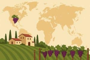 Internacionalizar bodegas